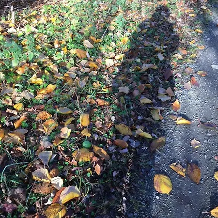 Apartamento Linda Goslar